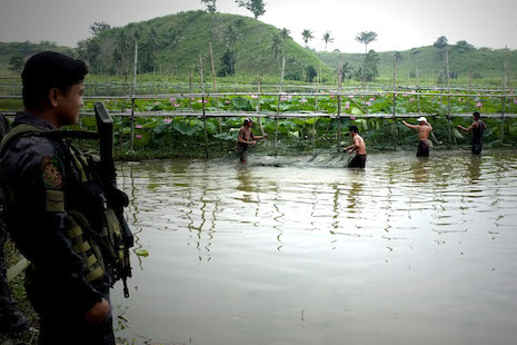 <p>Soldiers watch as former Moro rebels haul their catch from a communal fishpond in the village of Pedtad in Kabacan town, North Cotabato province (Photo by Joe Torres)</p>